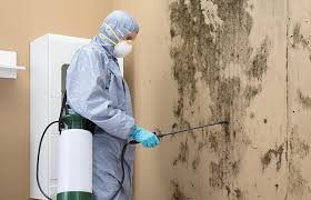 Best Commercial Mold Inspection  in Marlton, MD